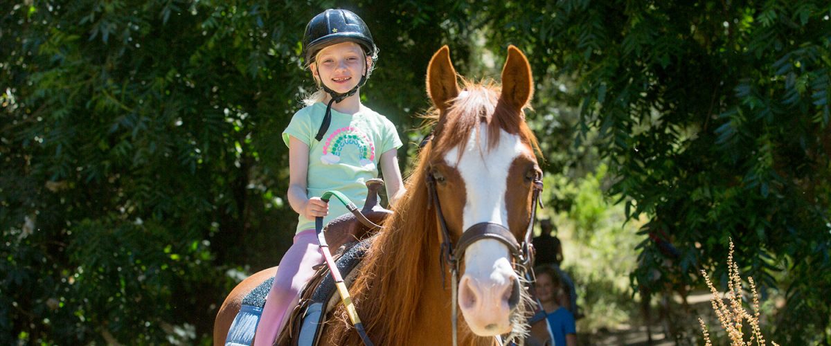 banner riding lessons banner riding lessons