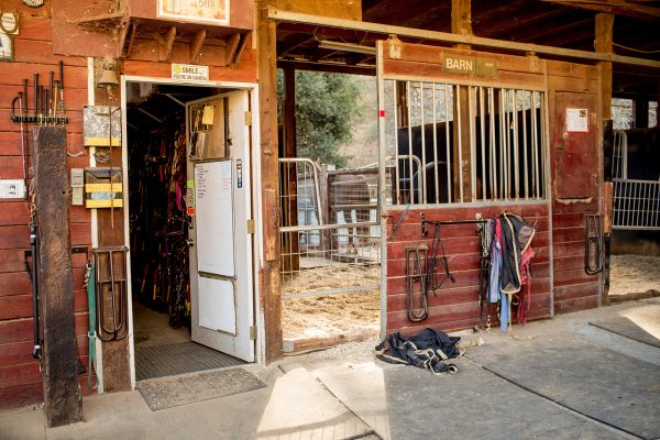 20181027horsemanship_morning-20 20181027horsemanship_morning-20