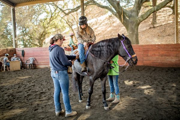 20181027horsemanship_morning-67 20181027horsemanship_morning-67