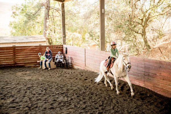 20181027horsemanship_morning-90 20181027horsemanship_morning-90
